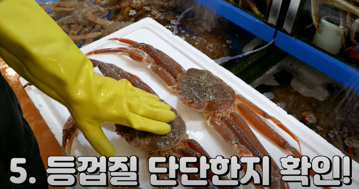 대게고르는법
