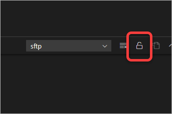 vs code의 출력창 잠금 아이콘