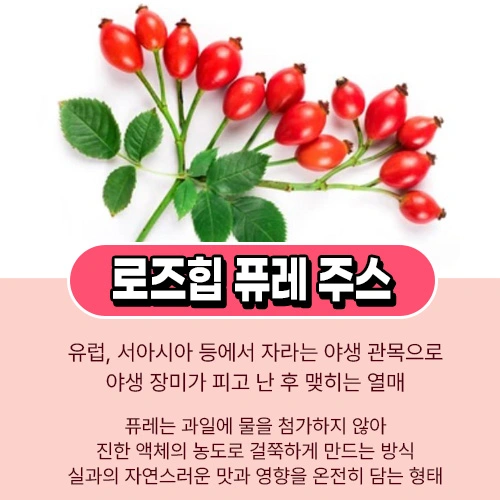 로즈힙