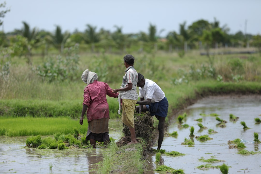 Farmers
