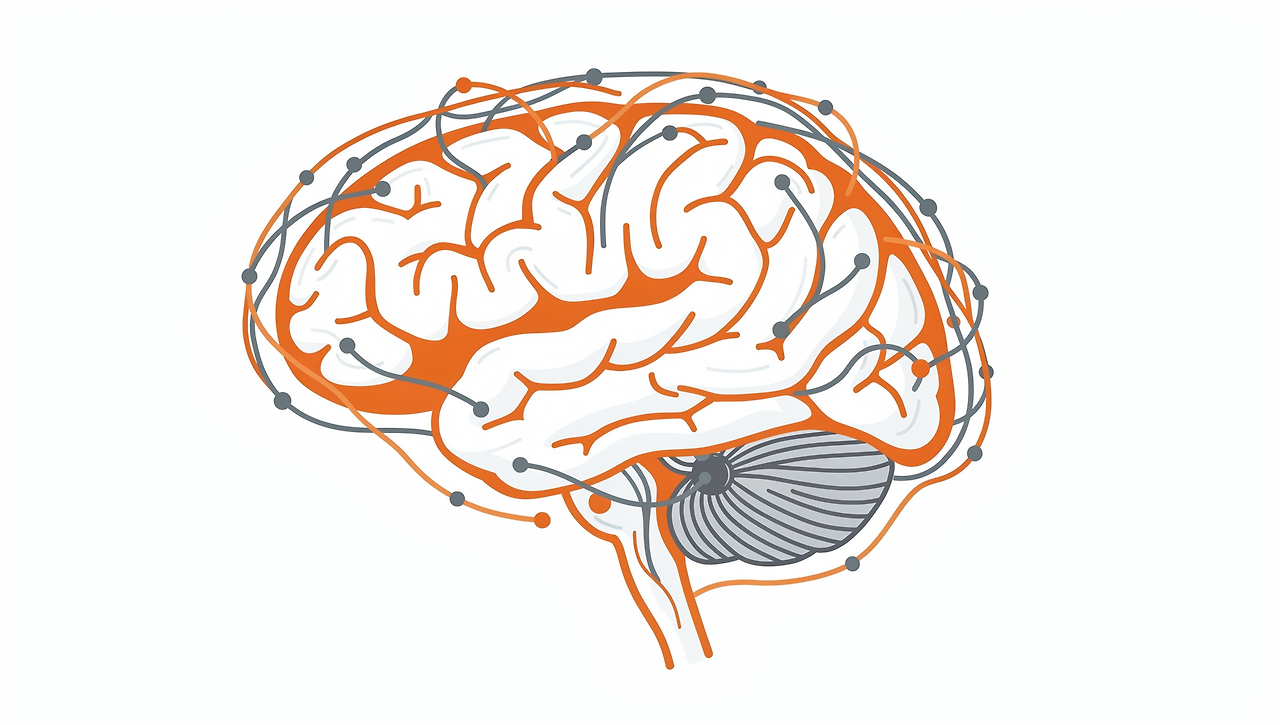 포스파티딜세린-효능-추천-제품-부작용