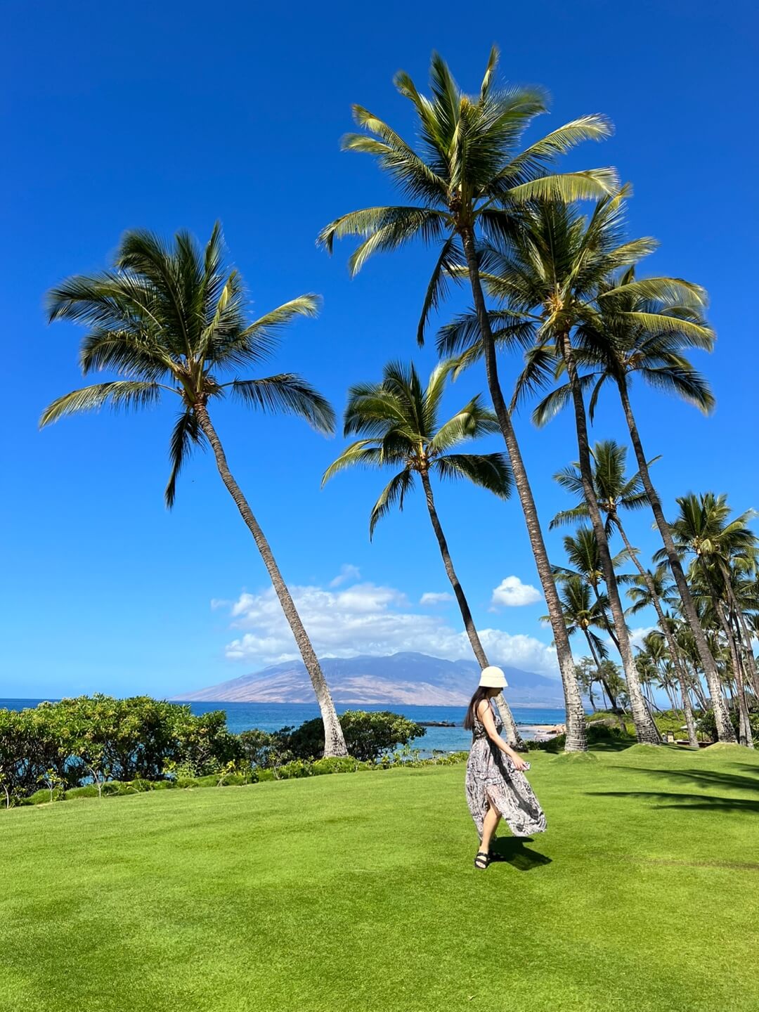 하와이 마우이 안다즈 리조트 사진