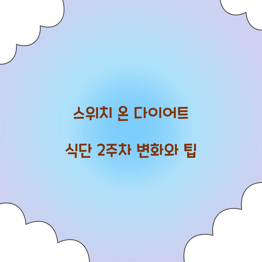 스위치 온 다이어트 식단