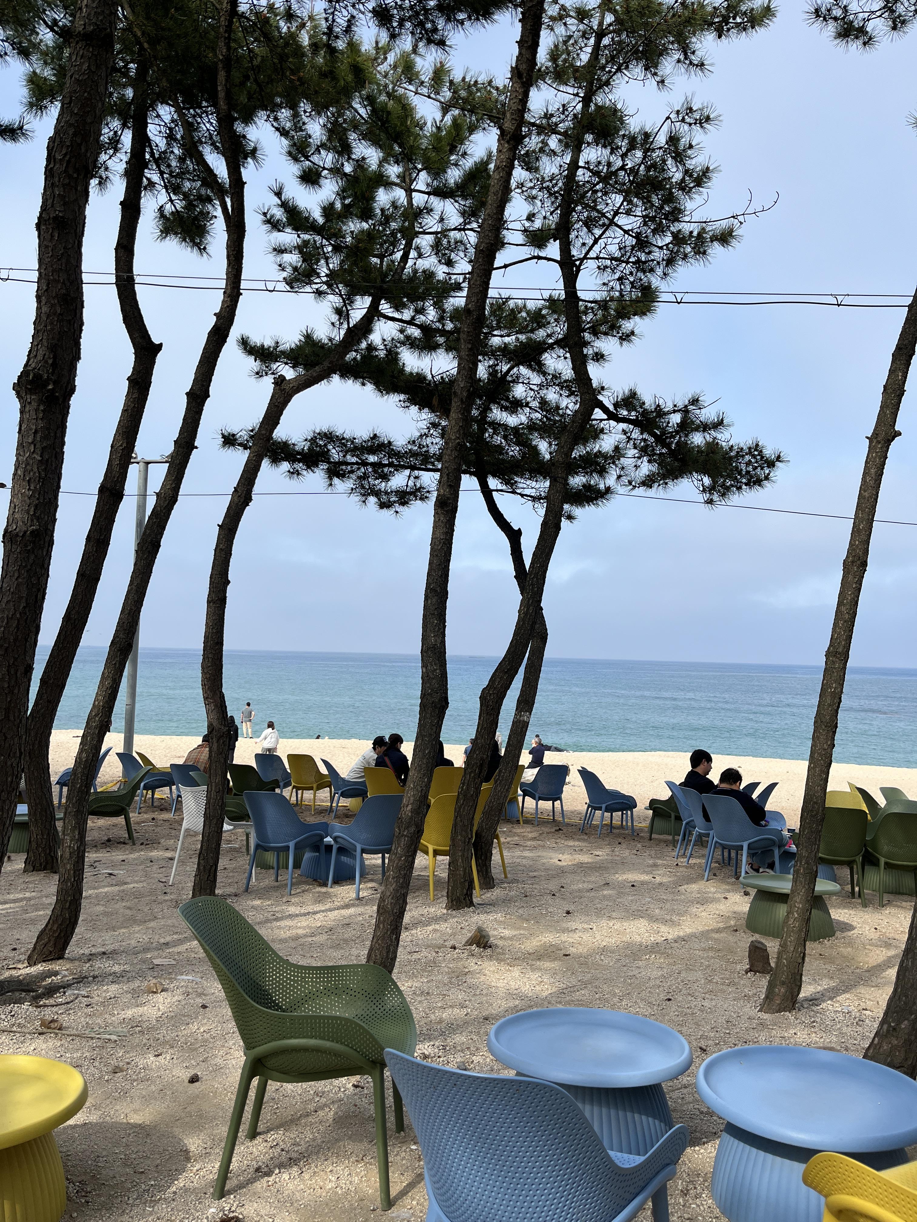 속초-맛집-베스트-10