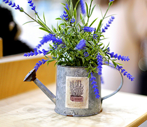 희귀 식물 번식 가이드