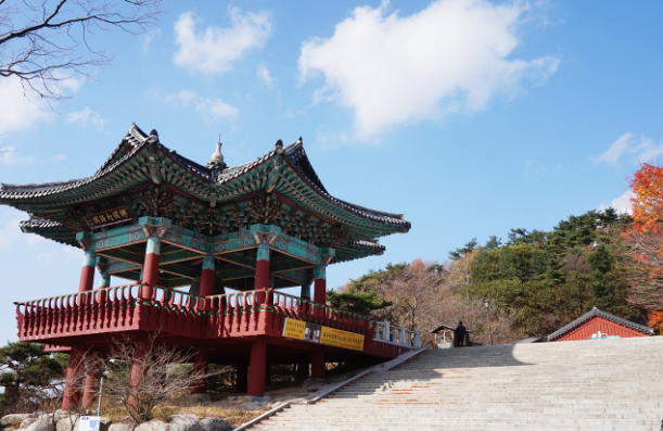 봄꽃 기차여행 (벚꽃기차)코스 및 금액 정리