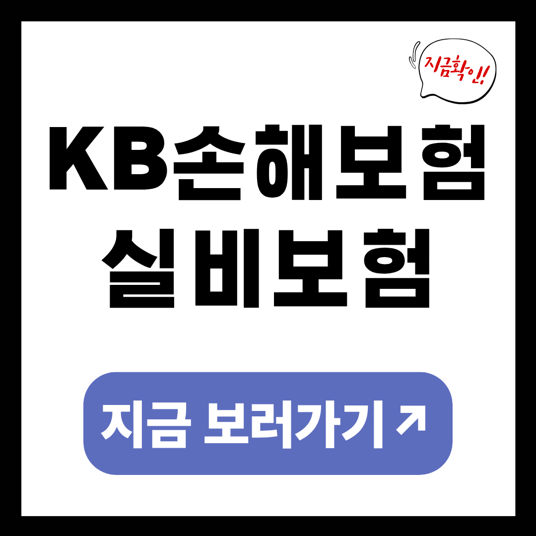 KB손해보험 실비보험 청구