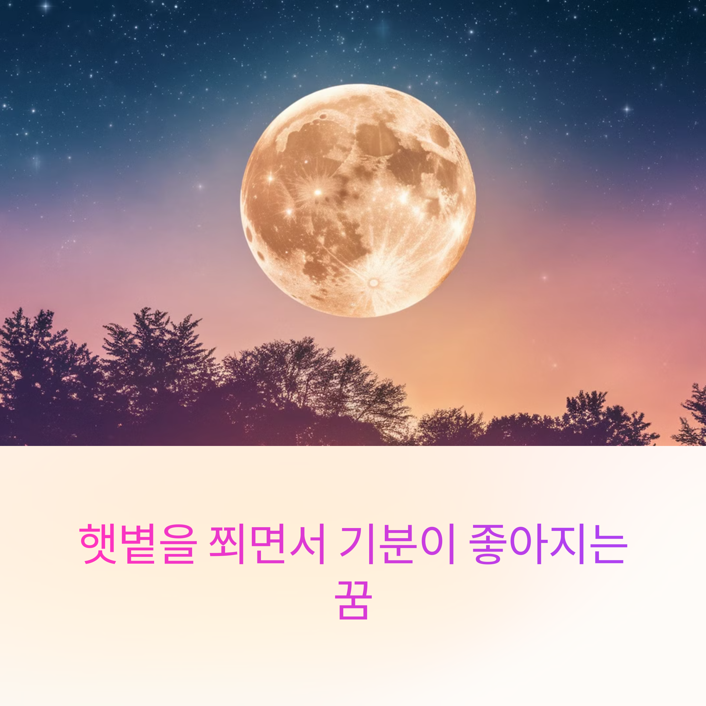 햇볕을 쬐면서 기분이 좋아지는 꿈