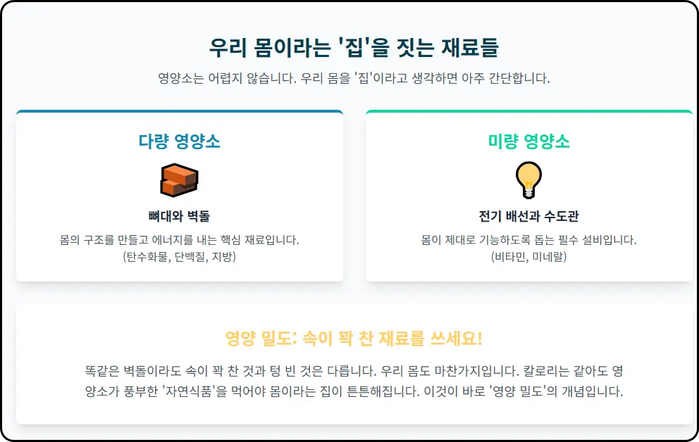 우리 몸이라는 '집'을 짓는 재료들