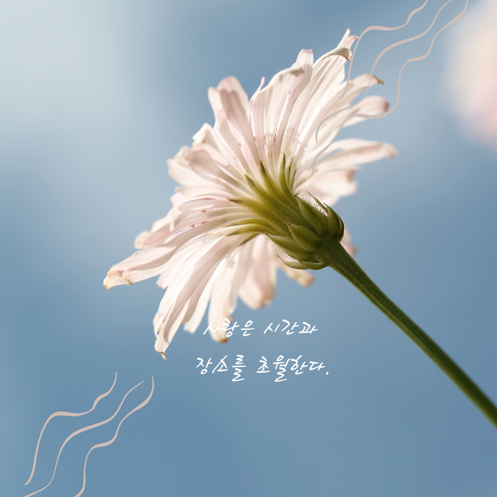 짧고 좋은 사랑 글귀 좋은글 문구 이미지 모음