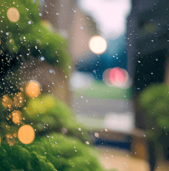 비내리는-모습-썸네일이미지