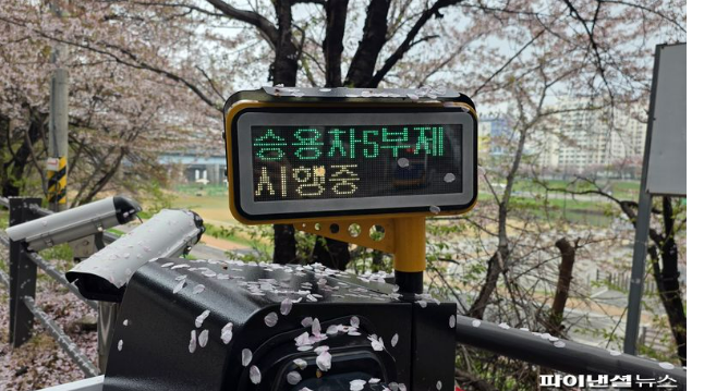 공영주차장 5부제·지도앱 조회·제외 대상