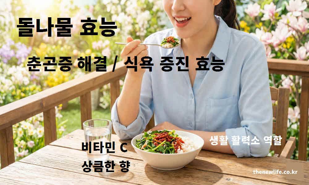 돌나물 효능 춘곤증 해결 식욕 증진