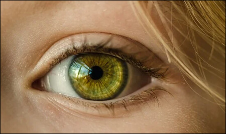 여성의 눈