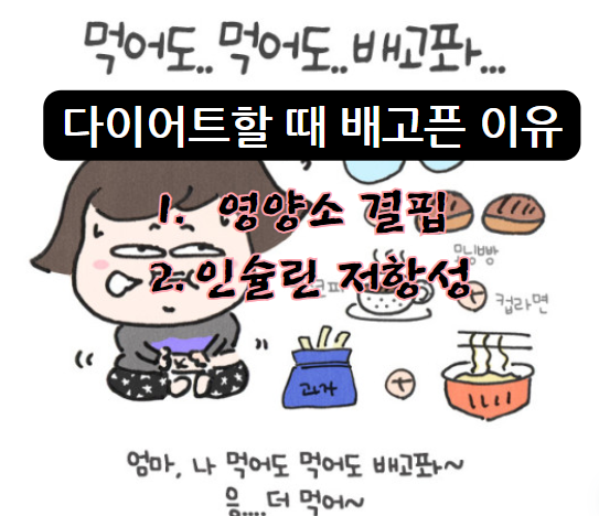 다이어트할 때 배고픈 2가지 이유