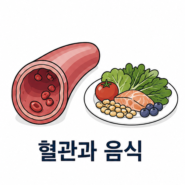 혈관과 음식 대표 이미지, 관 모양 혈관 도형과 접시를 나란히 그린 일러스트