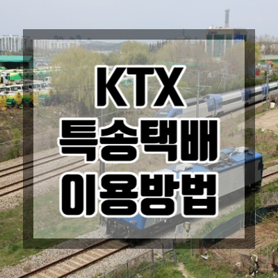 KTX특송택배