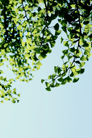 마음이 복잡한 당신에게 추천하는 영화5편