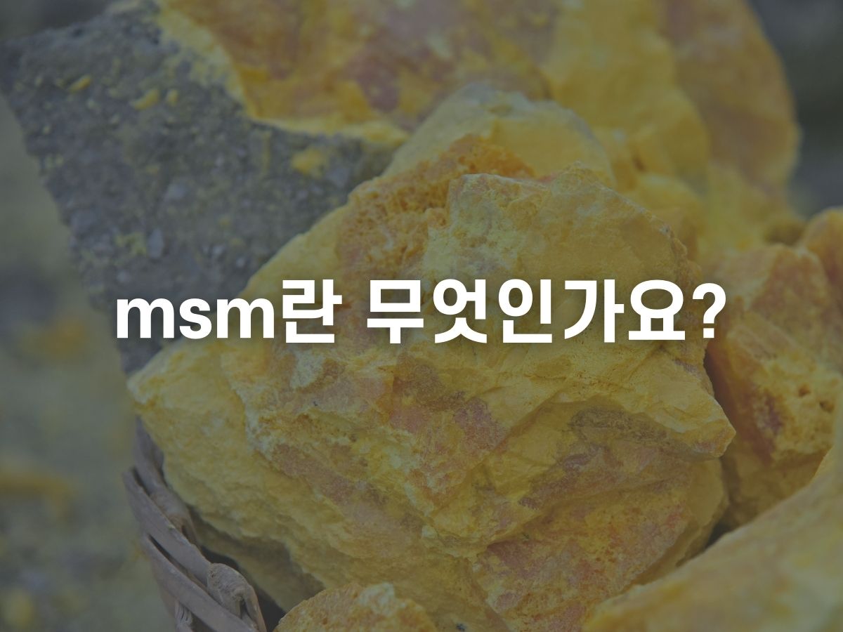 msm란 무엇인가