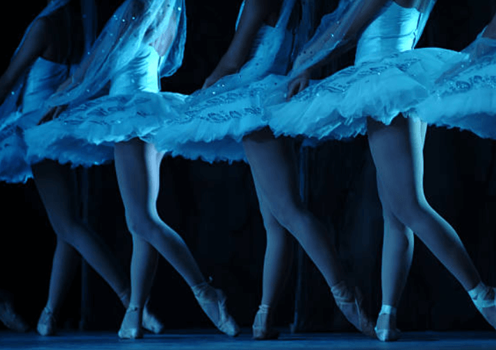 국립발레단 연봉