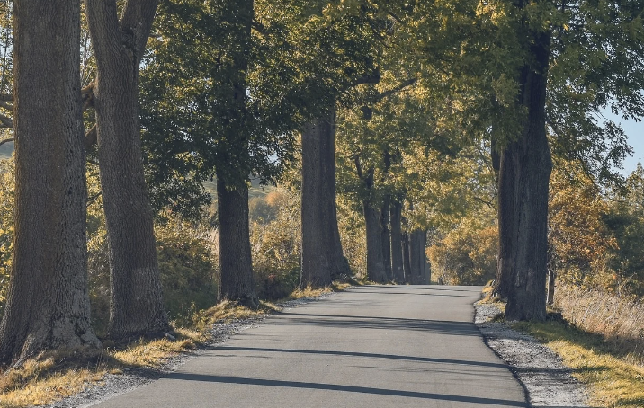 치매 조기증상과 예방법