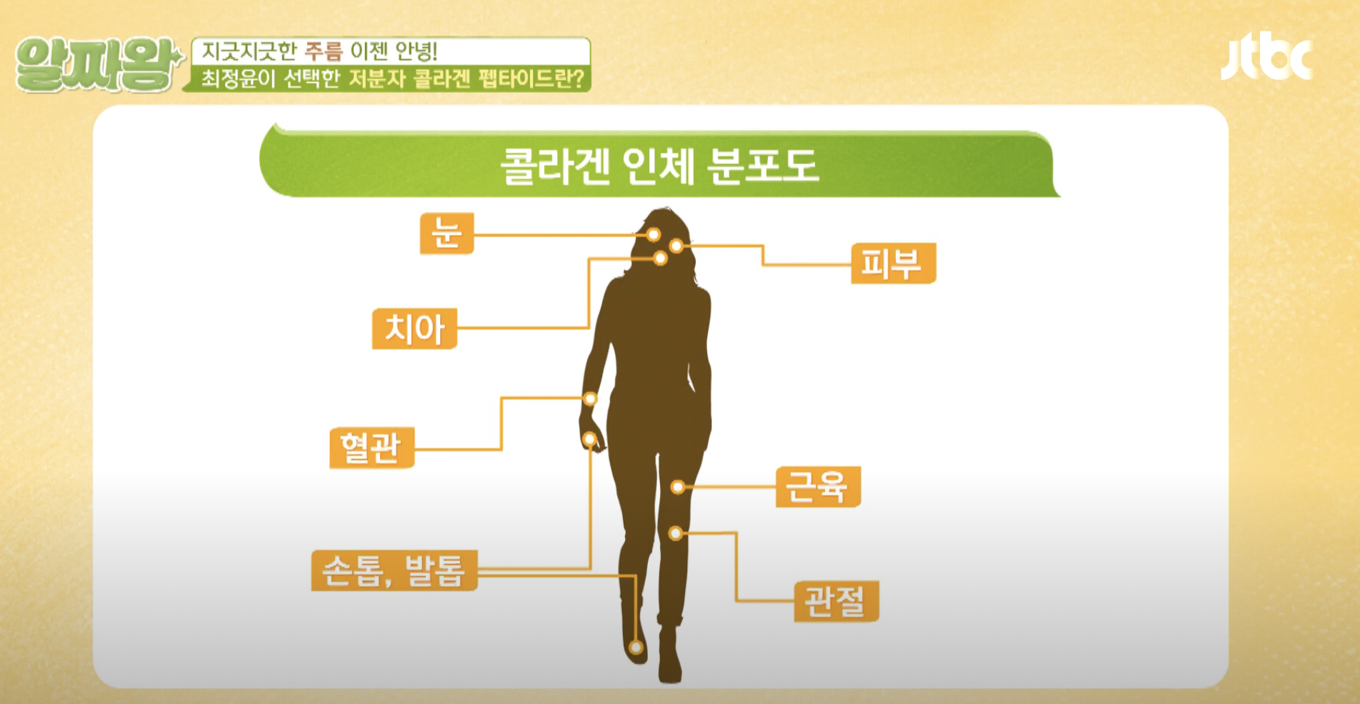 저분자 콜라겐 펩타이드 효능