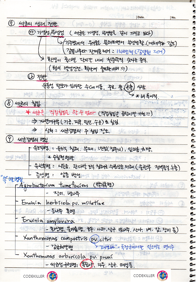 세균의 생태/전반&#44; 세균의 침입&#44; 세균감염의 병징&#44; 세균병의 방제