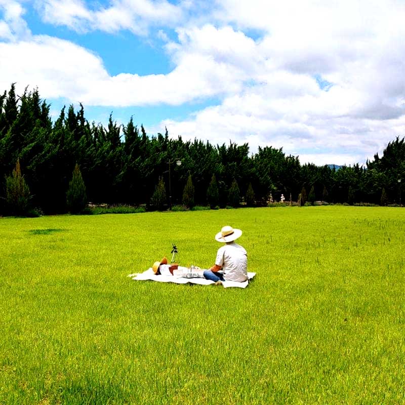 특색있고 아름다운 민간 정원 30선 추천 여행 - 30. 구례 천개의 향나무숲 정원