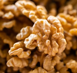 불포화지방산 음식 효능 종류 고기