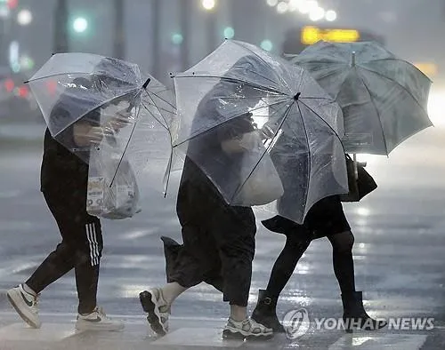 태풍 발생시기 원인 우리나라 제출 태풍 이름 2025년 완벽 정보_6