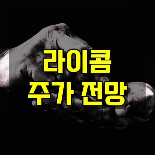 라이콤 주가 전망