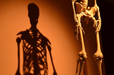 뼈 건강을 위한 필수 영양소와 식품