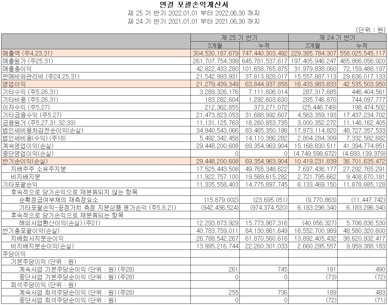 드림텍 - 손익계산서
