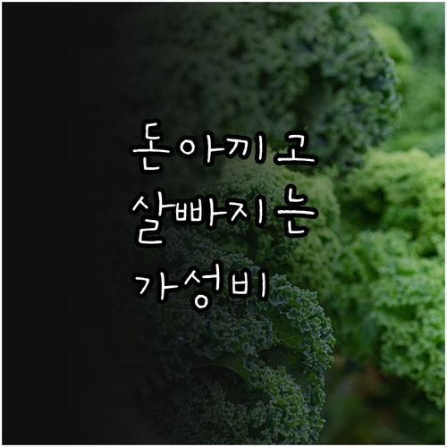 지갑과 건강을 모두 지키는 가성비 다..