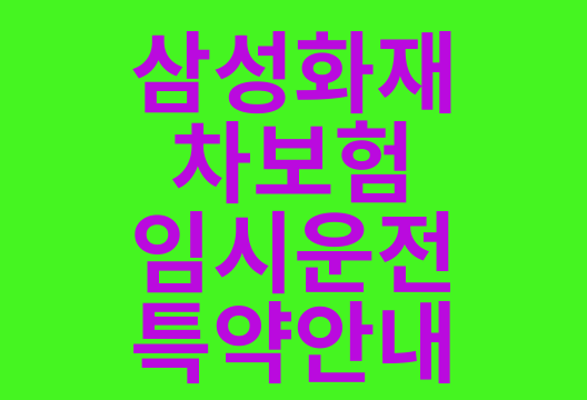 삼성화재 자동차보험 임시운전자 특약 가입 가이드