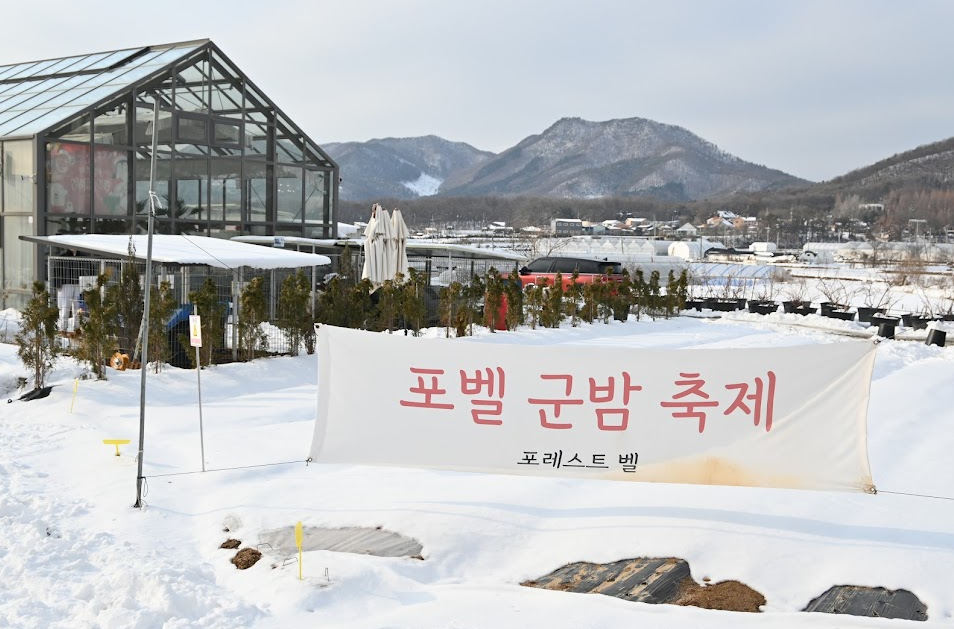 용인 포레스트벨 에서 딸기도 따고 동물 먹이도 주고 온 후기 사진 2