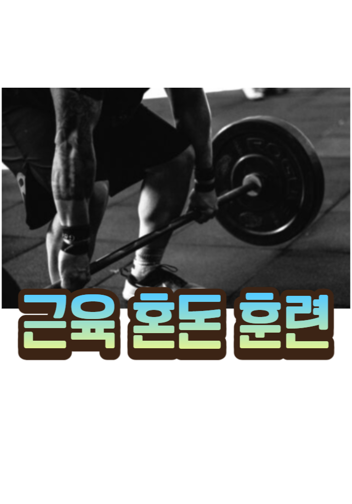 1.근육 혼돈 훈련 원칙