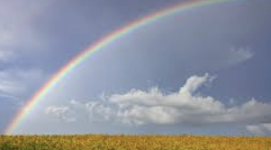 ISTP 유형 특징 분석