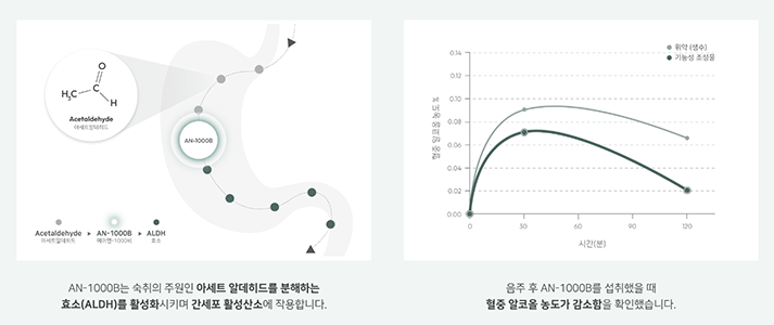 AN-1000B 작용과 임상실험 결과 이미지 캡쳐본 (음주부분)
