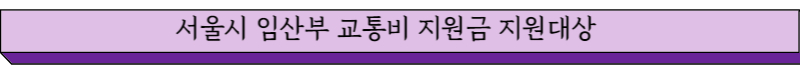 서울시 임산부 교통비 지원금 지원대상자 글씨그림