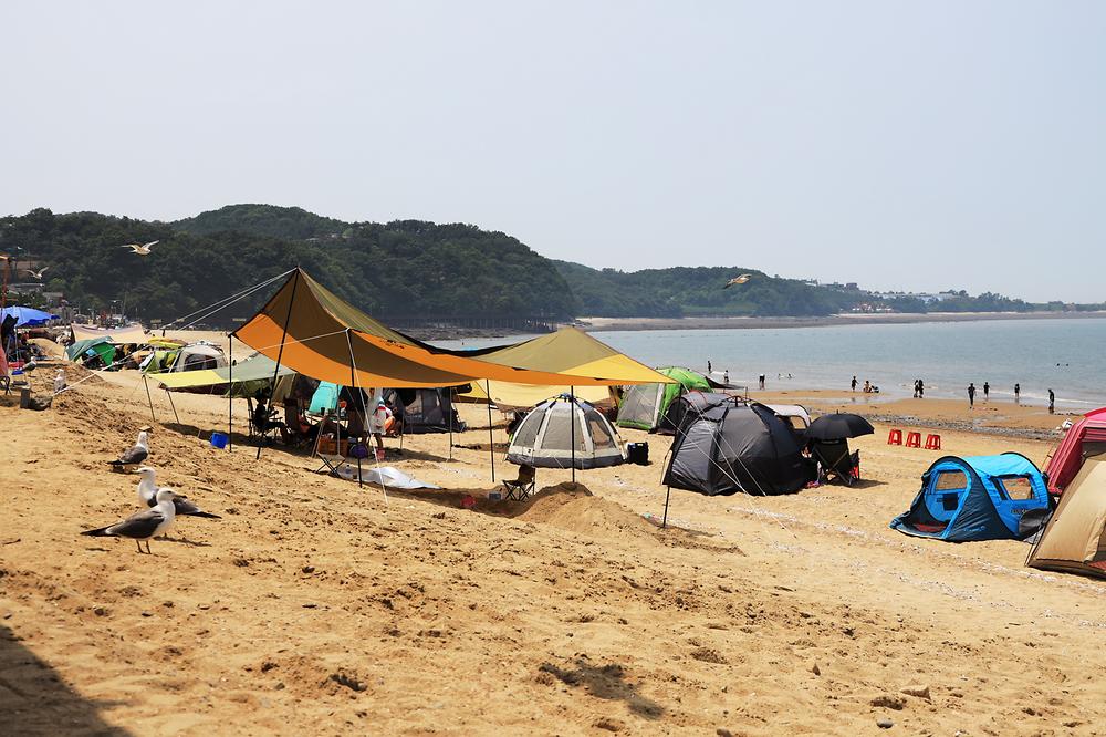 인천 십리포해수욕장 야영장 소개