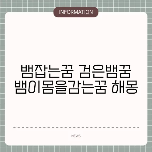 뱀잡는꿈 검은뱀꿈 뱀이몸을감는꿈 해몽