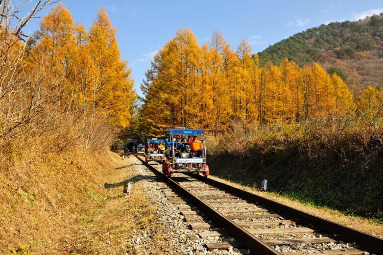정선 레일바이크