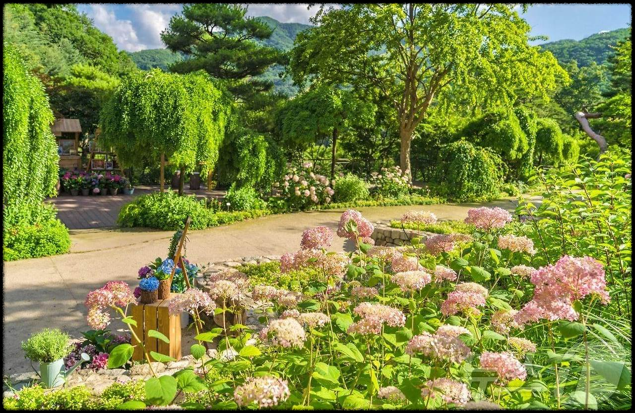 기후동행카드 신청 및 환급받기