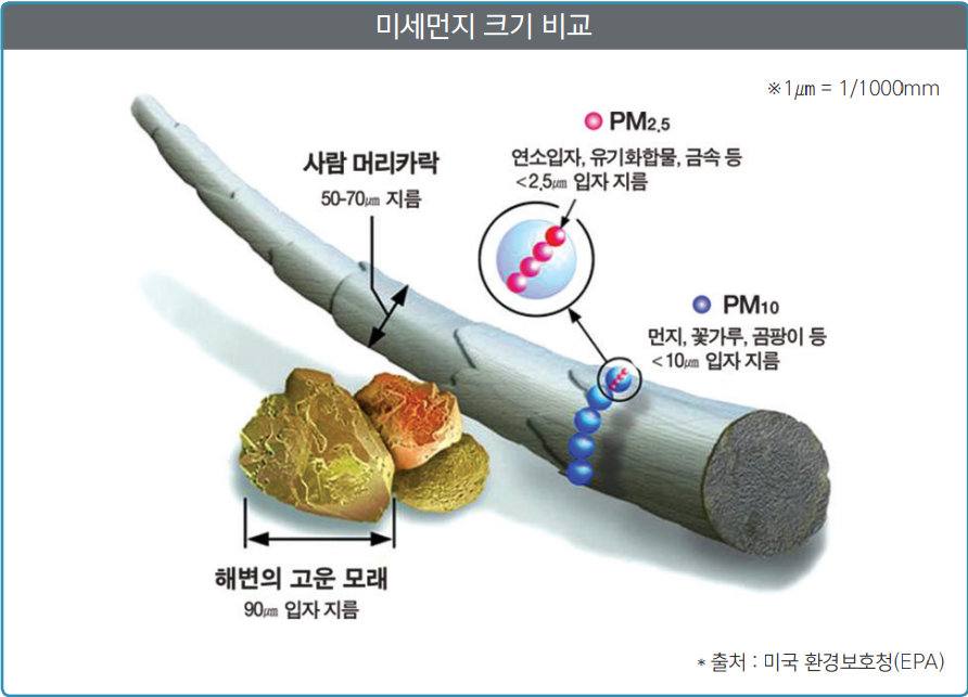 미세먼지 크기 비교
