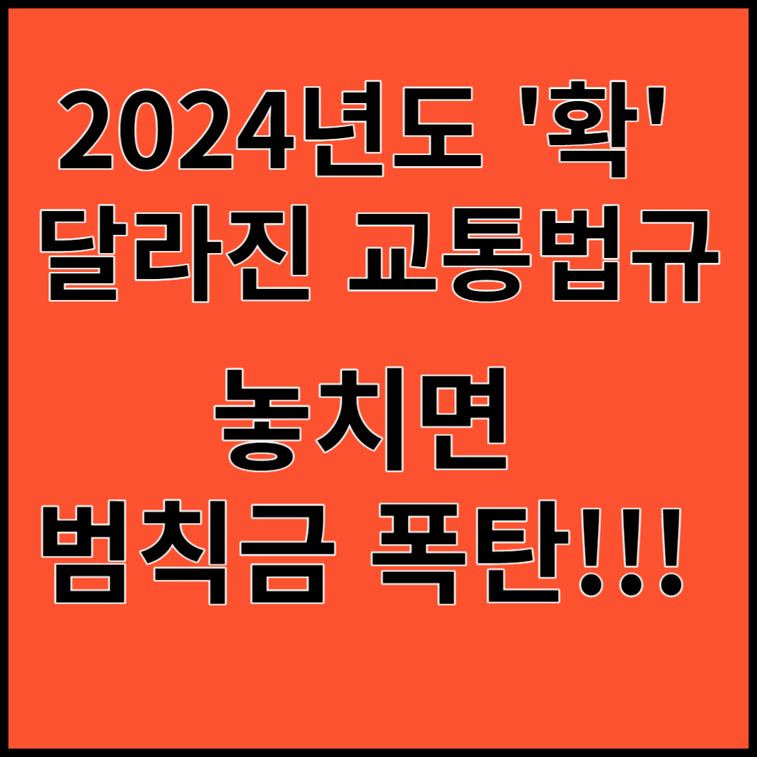 2024년 확 달라진 교통법규, 놓치면 범칙금, 벌점 폭탄!!!