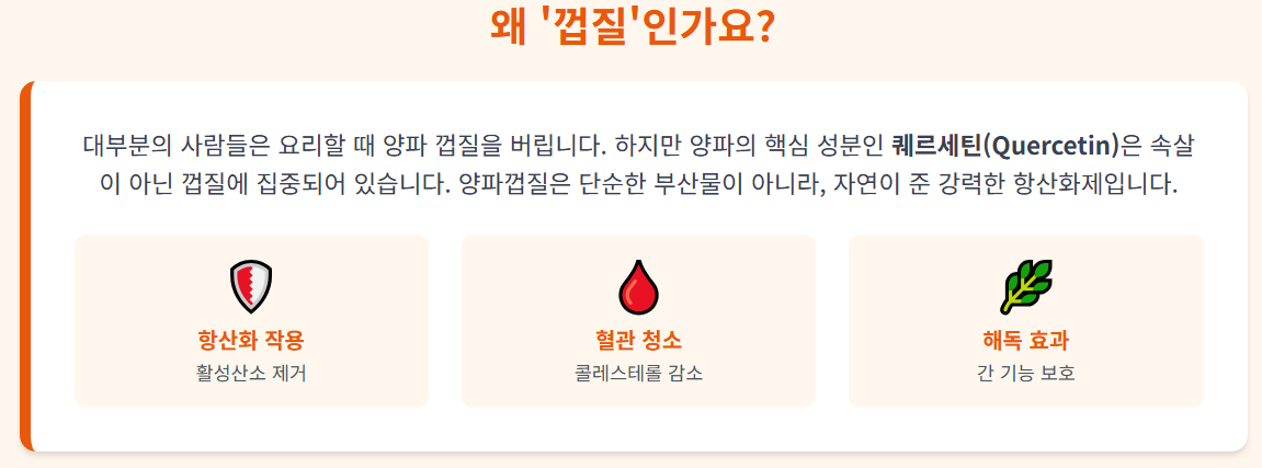 양파껍질의 효능에 대한 인포그래픽 이미지