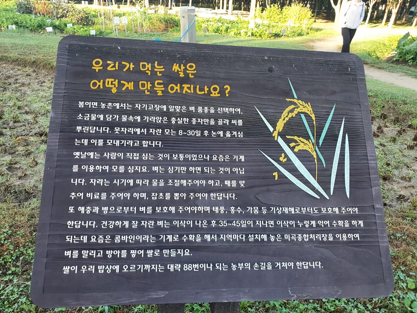 쌀만드늘어지는과정