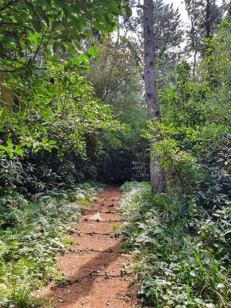 애월 수산봉 정상 올라가는길