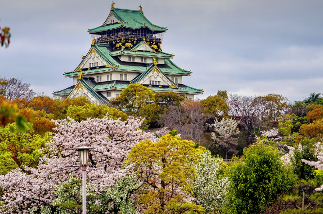 오사카 벚꽃 축제 및 이벤트 소개